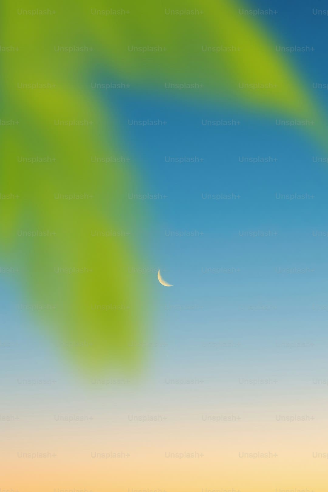 电影《有朵云像你》七夕13点14分“一生一世”特别场助力约会表白